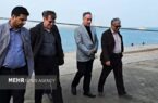 حسینی: کنترل دقیق نهاده‌های دامی پیش از ورود به چرخه تولید ضرورت دارد