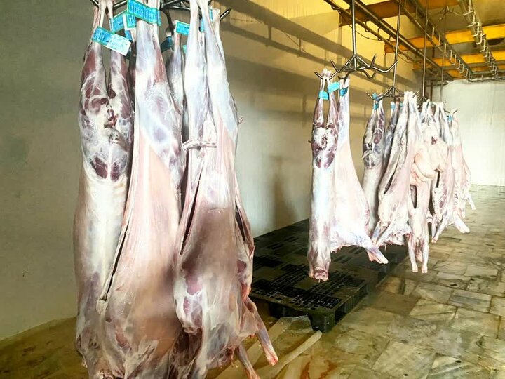 رئیس دامپزشکی کنگان: تأمین گوشت از کشتارگاه‌های مجاز انجام می‌شود