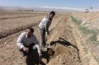 اجرای پویش نهالکاری در سراسر مازندران