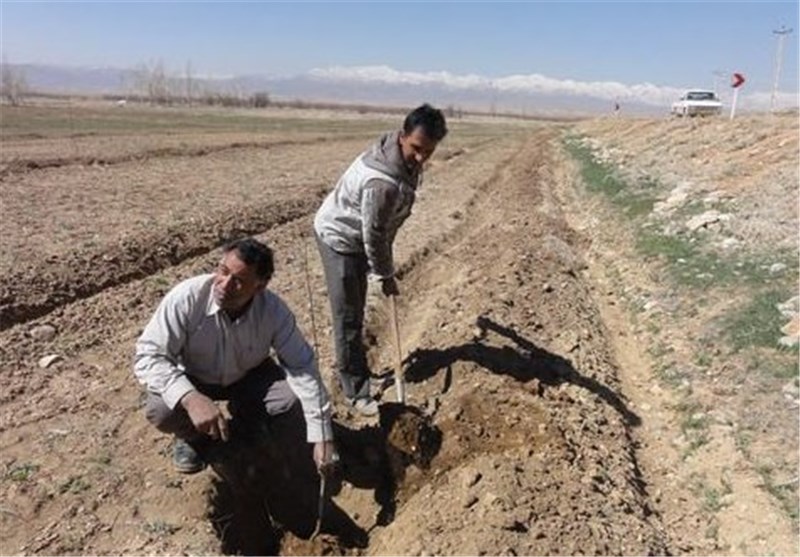 اجرای پویش نهالکاری در سراسر مازندران