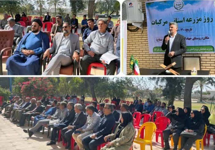 برگزاری روز مزرعه استانی مرکبات برای مقابله با زوال و سرمازدگی