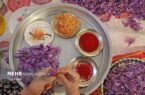درد خام‌فروشی با راه‌اندازی پالایشگاه گیاهان دارویی درمان می‌شود؟