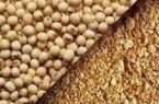 به‌روزرسانی قیمت کنجاله سویا و توقف ثبت سفارش‌های زمستانی