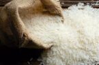 توزیع برنج پاکستانی 151 هزار تومانی در نمایشگاه بهاره توزیع برنج پاکستانی ۱۵۱ هزار تومانی در نمایشگاه بهاره