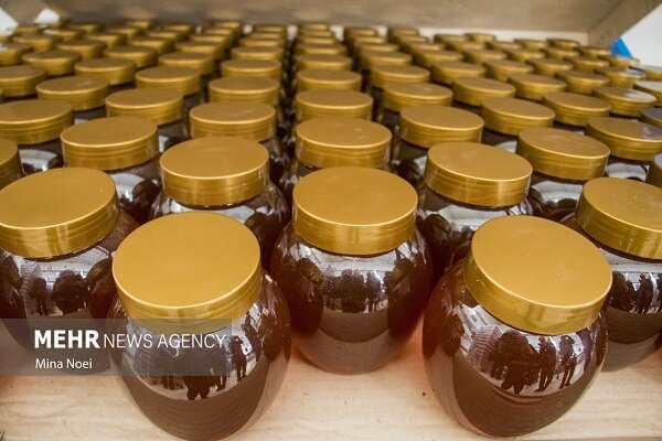شاهی: مجوز صادرات ۱۴۰ تن عسل از خوانسار صادر شد