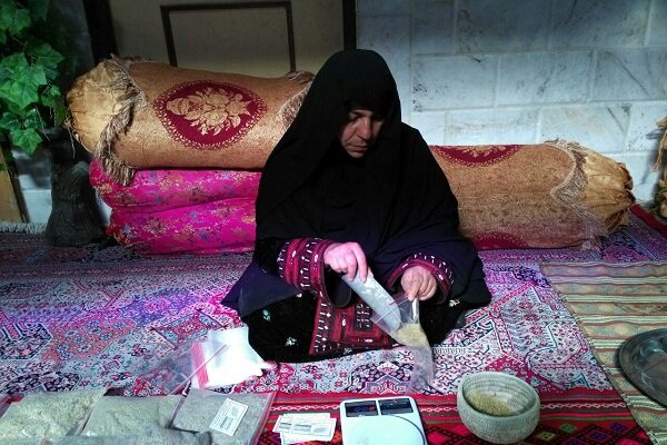 فرآوری گیاهان دارویی؛ موتور اشتغال پایدار در سیستان و بلوچستان
