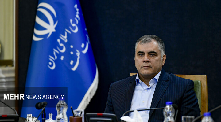 پاک نژاد:هدف وزارت نفت جلوگیری از خامفروشی و تقویت صادرات غیرنفتی است