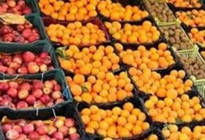 آغاز عرضه میوه شب عید از امروز در سراسر کشور آغاز عرضه میوه شب عید از امروز در سراسر کشور
