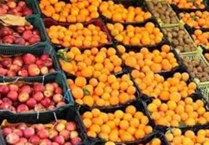 آغاز عرضه میوه شب عید از امروز در سراسر کشور آغاز عرضه میوه شب عید از امروز در سراسر کشور