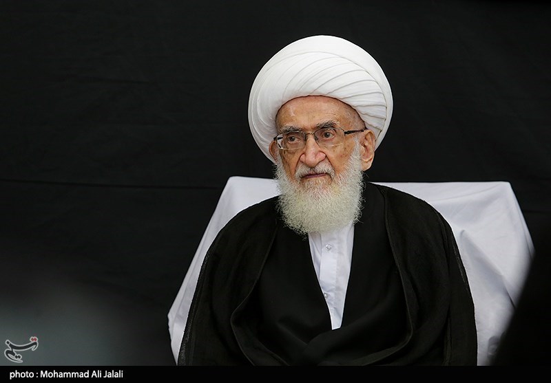 تأکید آیت‌الله نوری‌همدانی بر تسریع در انتخاب رهبری