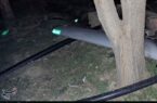 تسلط پدافند سپاه بر آسمان/ پهپاد هرمس 900 اسرائیلی در لرستان سرنگون شد تسلط پدافند سپاه بر آسمان/ پهپاد هرمس ۹۰۰ اسرائیلی در لرستان سرنگون شد