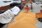 جهش تاریخی قیمت جهانی گندم و روغن در پی بحران خاورمیانه جهش تاریخی قیمت جهانی گندم و روغن در پی بحران خاورمیانه