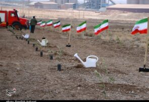 پیگیری طرح رهبر شهید برای کاشت یک میلیارد درخت با قوت بیشتر پیگیری طرح رهبر شهید برای کاشت یک میلیارد درخت با قوت بیشتر