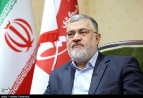 کمبودی در کالاهای اساسی و نان نداریم/فعالیت ۳۸۶ جایگاه سوخت در تهران