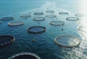 آزمایشگاه تشخیص بیماری‌های آبزیان در چهارمحال‌وبختیاری آغاز به کار کرد