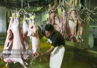 آمار کشتار دام کشتارگاه‌های رسمی کشور منتشر شد