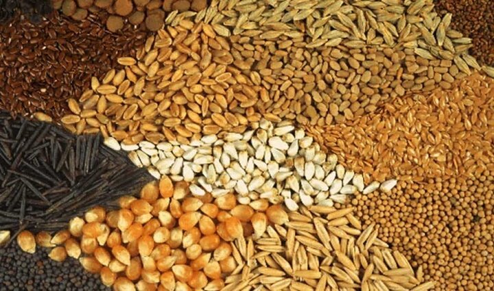 اجرای طرح «پایش مستمر کیفیت و کمیت خوراک آبزی» در لرستان