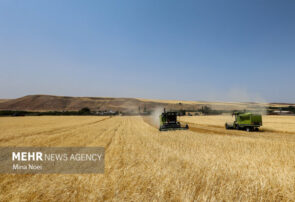 اجرای کامل قانون الزام با جدیت دنبال می‌شود