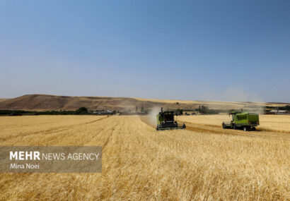 اجرای کامل قانون الزام با جدیت دنبال می‌شود