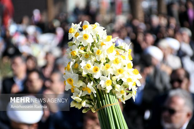 ادب فارسی و گل‌هایی که آن را آراسته‌اند؛ کدام گل در ادب فارسی «گل» است