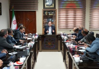 استاندار بوشهر: تأمین برق پایدار در تابستان امسال از اولویت‌ها است