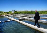 استاندار کرمانشاه: غرب استان قطب صادرات آبزیان به عراق می‌شود