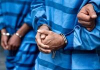 اعتراف سارقان حرفه‌ای احشام به ۳ فقره سرقت در قرچک