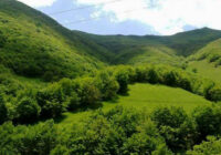 اقدامات اجرایی منابع‌طبیعی بدون وقفه ادامه دارد