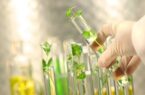 امنیت غذایی پایدار با حفظ تنوع زیستی و منابع ژنتیکی امنیت غذایی پایدار با حفظ تنوع زیستی و منابع ژنتیکی