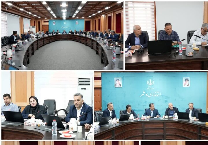 امینی: جایگاه استان بوشهر در تولید میگوی پرورشی کشور  تقویت می شود