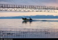 انصاری: فاصله قابل توجهی تا احیای کامل دریاچه ارومیه وجود دارد