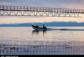 انصاری: فاصله قابل توجهی تا احیای کامل دریاچه ارومیه وجود دارد