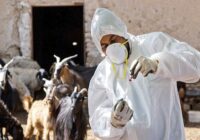 ایجاد مدیریت واحد برای صنعت واکسن کشور