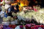 ایجاد ۷ هزار و ۲۴۰ هکتار فضای سبز در پایتخت ایجاد ۷ هزار و ۲۴۰ هکتار فضای سبز در پایتخت
