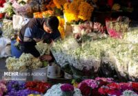 ایجاد ۷ هزار و ۲۴۰ هکتار فضای سبز در پایتخت