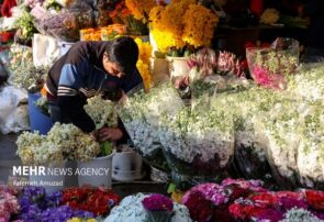 ایجاد ۷ هزار و ۲۴۰ هکتار فضای سبز در پایتخت