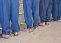 باند سرقت از باغات و اماکن خصوصی فلاورجان متلاشی شد