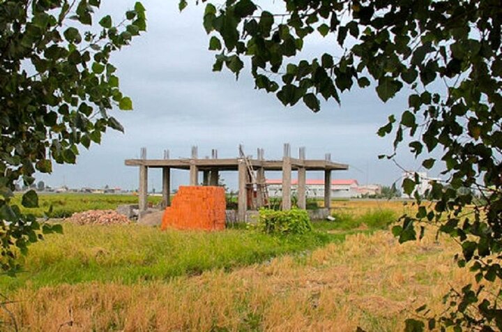 برخورد جدی با ۳۳ پرونده تغییر کاربری غیرمجاز مزارع در ساری