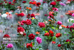 برپایی نمایشگاه تخصصی گل و گیاه و باغبانی در مشهد