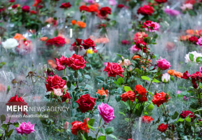 برپایی نمایشگاه تخصصی گل و گیاه و باغبانی در مشهد