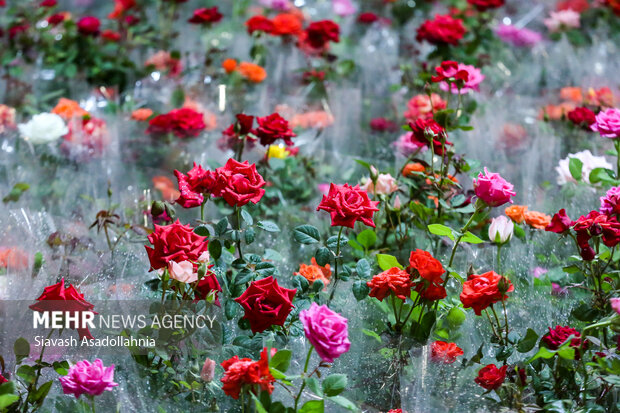 برپایی نمایشگاه تخصصی گل و گیاه و باغبانی در مشهد