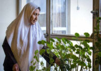 تاثیر تنهایی بر سلامت مغز زنان در شروع یائسگی