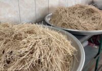 توزیع آش نذری توسط بسیجیان قوچانی