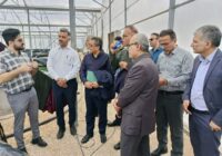 توسعه آبزی‌پروری نوین با محوریت تولید اسپیرولینا در استان بوشهر