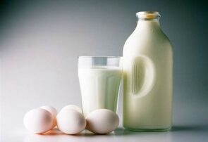 تولید لبنیات پایدار است/ صادرات لبنیات مازاد