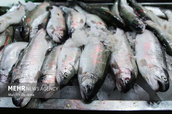 جهش نظارت‌های دامپزشکی در کردستان؛ از دارو تا صادرات فرآورده‌های دامی