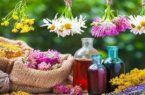 ظرفیت بالای سراوان در تولید گیاهان دارویی؛ بستری برای توسعه اقتصادی