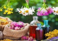 ظرفیت بالای سراوان در تولید گیاهان دارویی؛ بستری برای توسعه اقتصادی