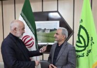 عقد قرارداد با ۱۲۰ کارخانه چایسازی گیلان و مازندران برای خرید برگ سبز