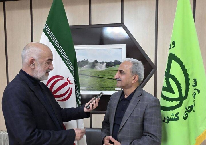 عقد قرارداد با ۱۲۰ کارخانه چایسازی گیلان و مازندران برای خرید برگ سبز